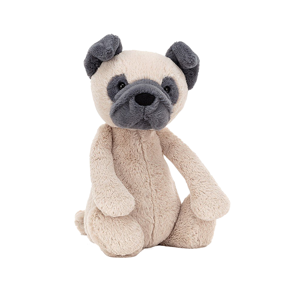 Bashful Pug | Medium