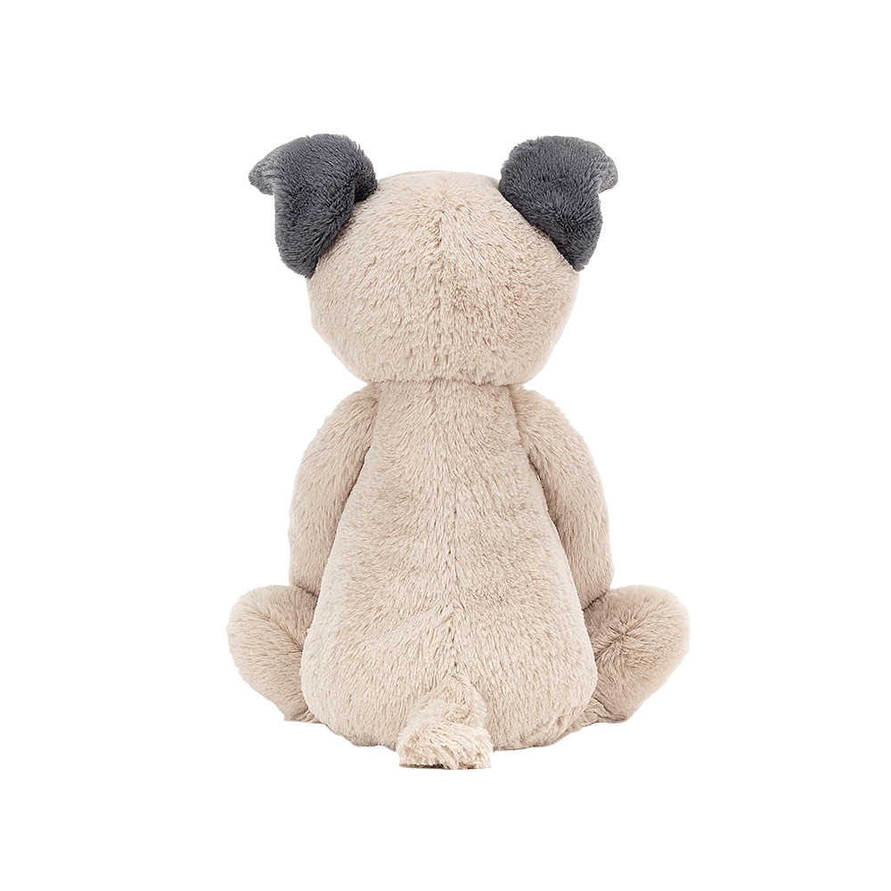 Bashful Pug | Medium