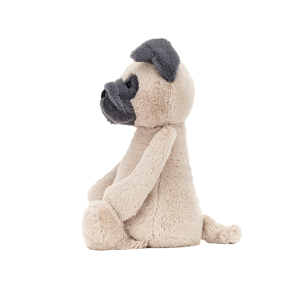 Bashful Pug | Medium